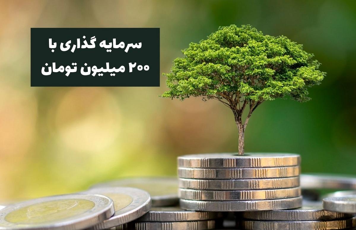 4 بازار برای سرمایه گذاری با 200 میلیون تومان | کدام بازار سود بیشتری می دهد؟