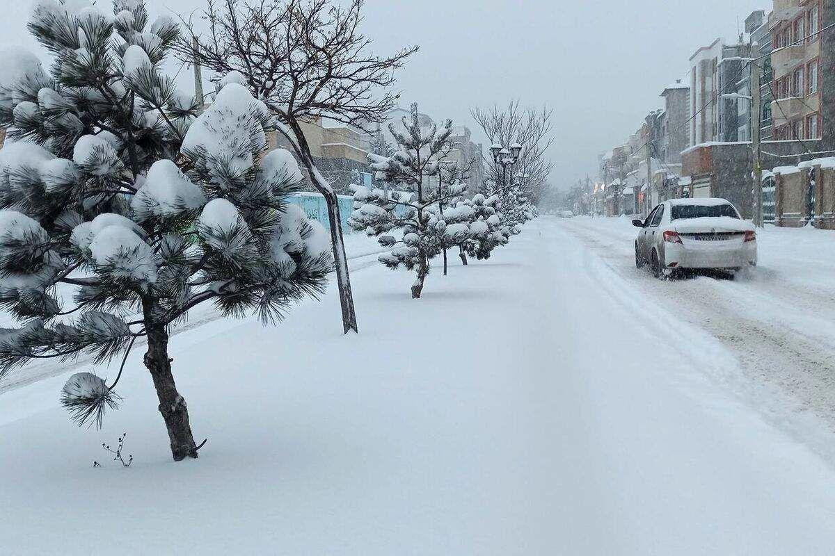 بارش برف در تهران؛ هوا به طور چشمگیری سرد می‌شود